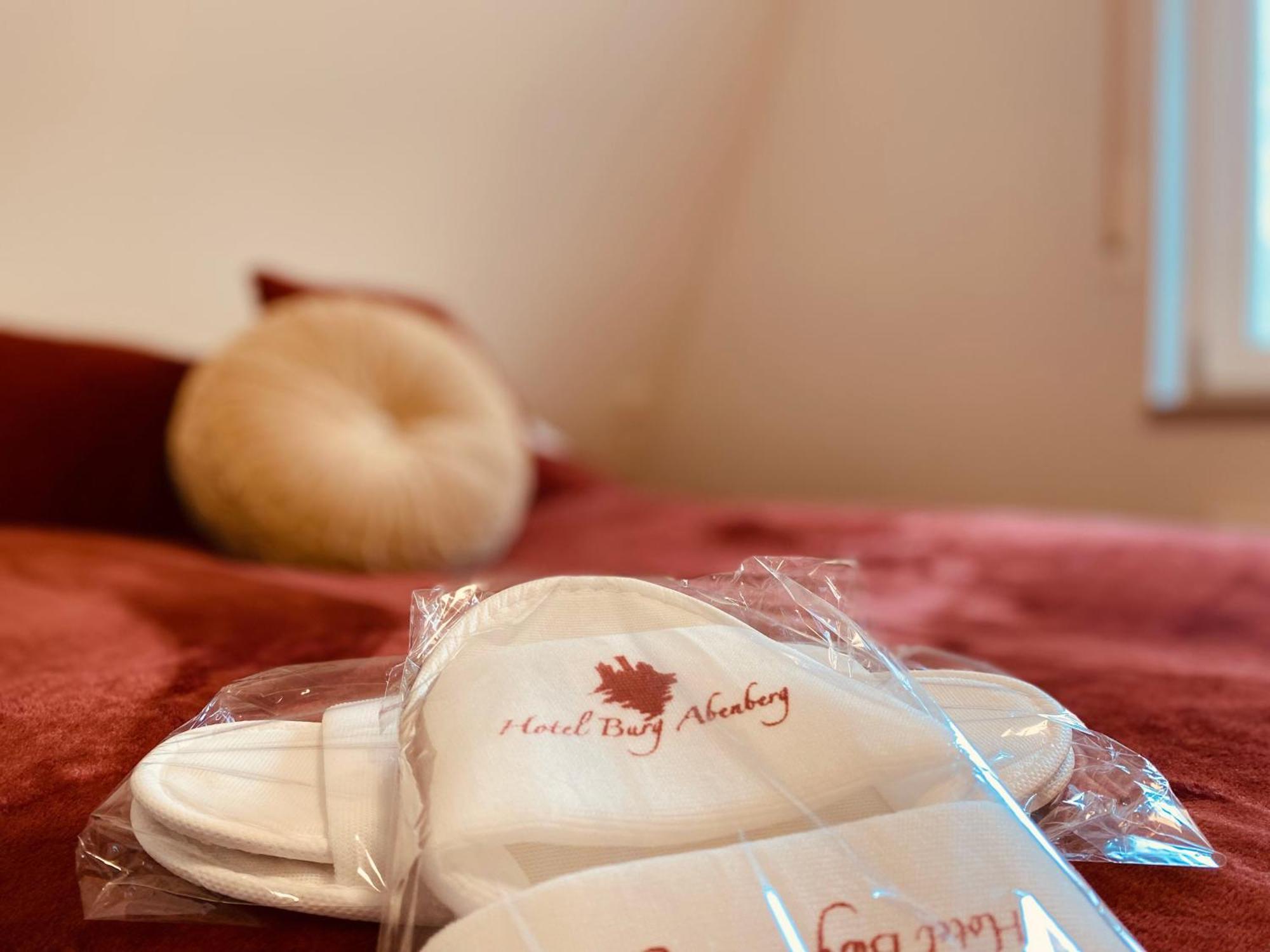 Hotel Burg Abenberg エクステリア 写真